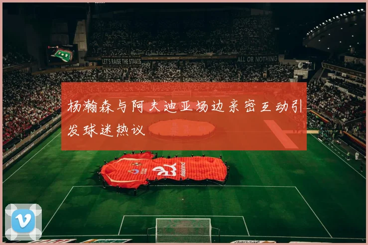 杨瀚森与阿夫迪亚场边亲密互动引发球迷热议
